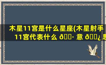 木星11宫是什么星座(木星射手11宫代表什么 🕷 意 🌿 思)